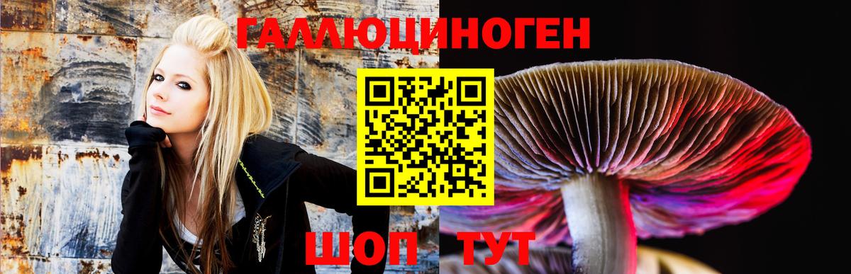 Галлюциногенные грибы Psilocybine cubensis Бахчисарай